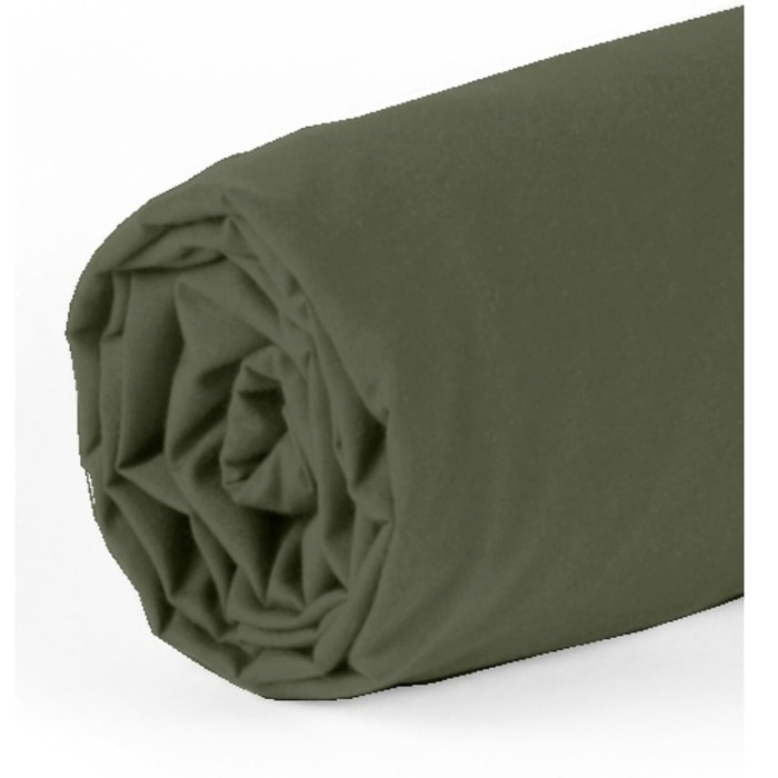 DRAP HOUSSE 2 PERS 140x190 percale de Coton - PERCALE KAKI