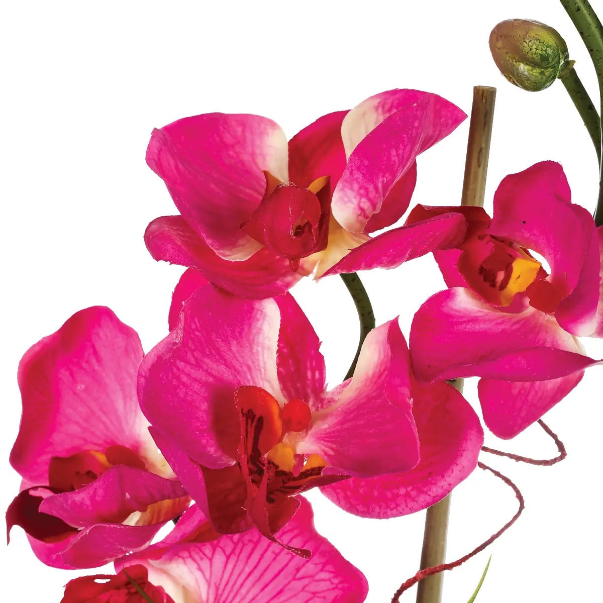 Composition d'orchidées artificielles vase verre H37cm