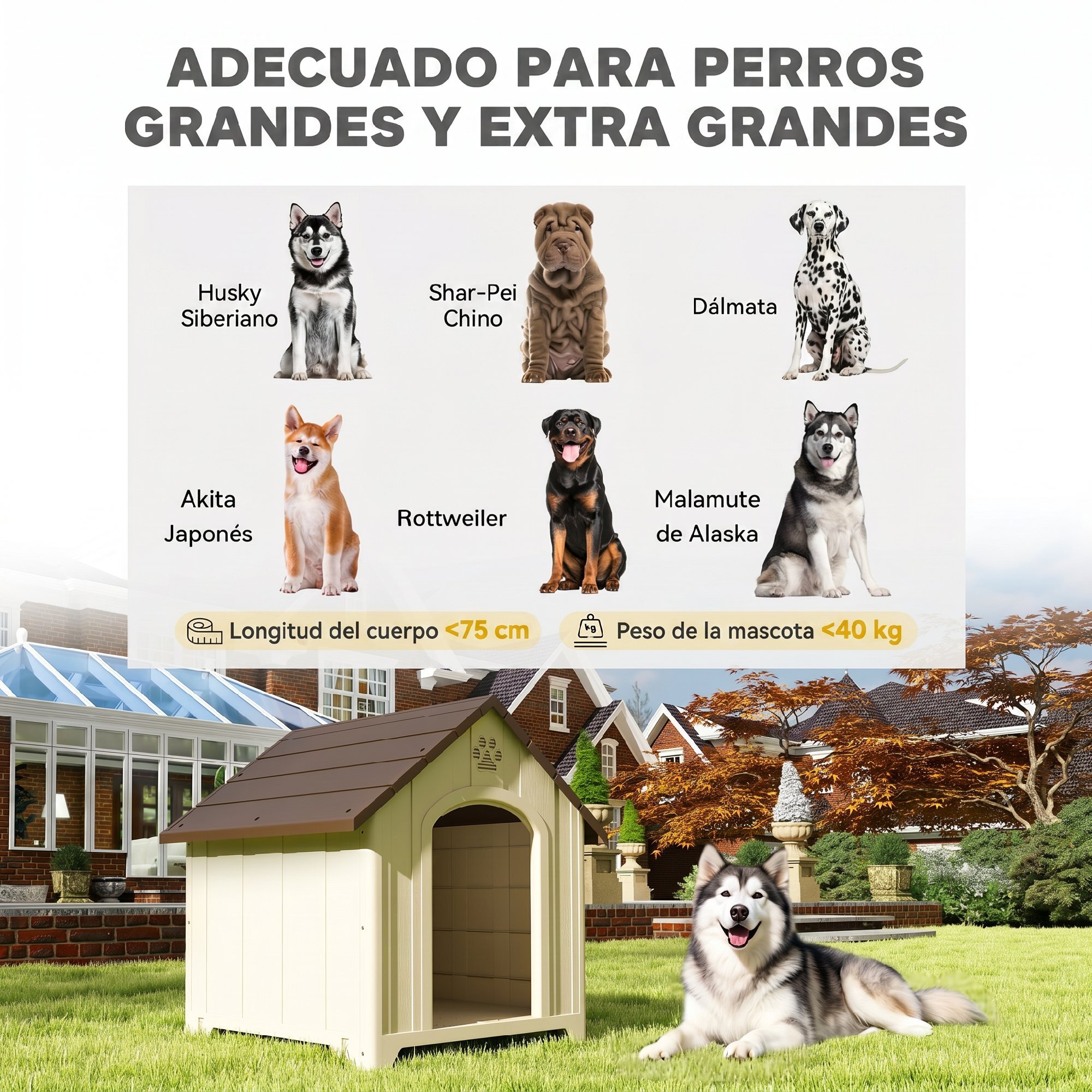 Caseta para Perros Exterior, Casa para Perros Extragrandes de Plástico Impermeable con 2 Ventanas, Base Elevada, Estacas, Fácil de Montar, 102x94x103 cm, Beige