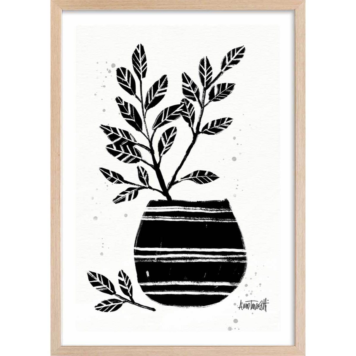 Illustration Poterie et botanique Affiche + cadre en bois - Chêne