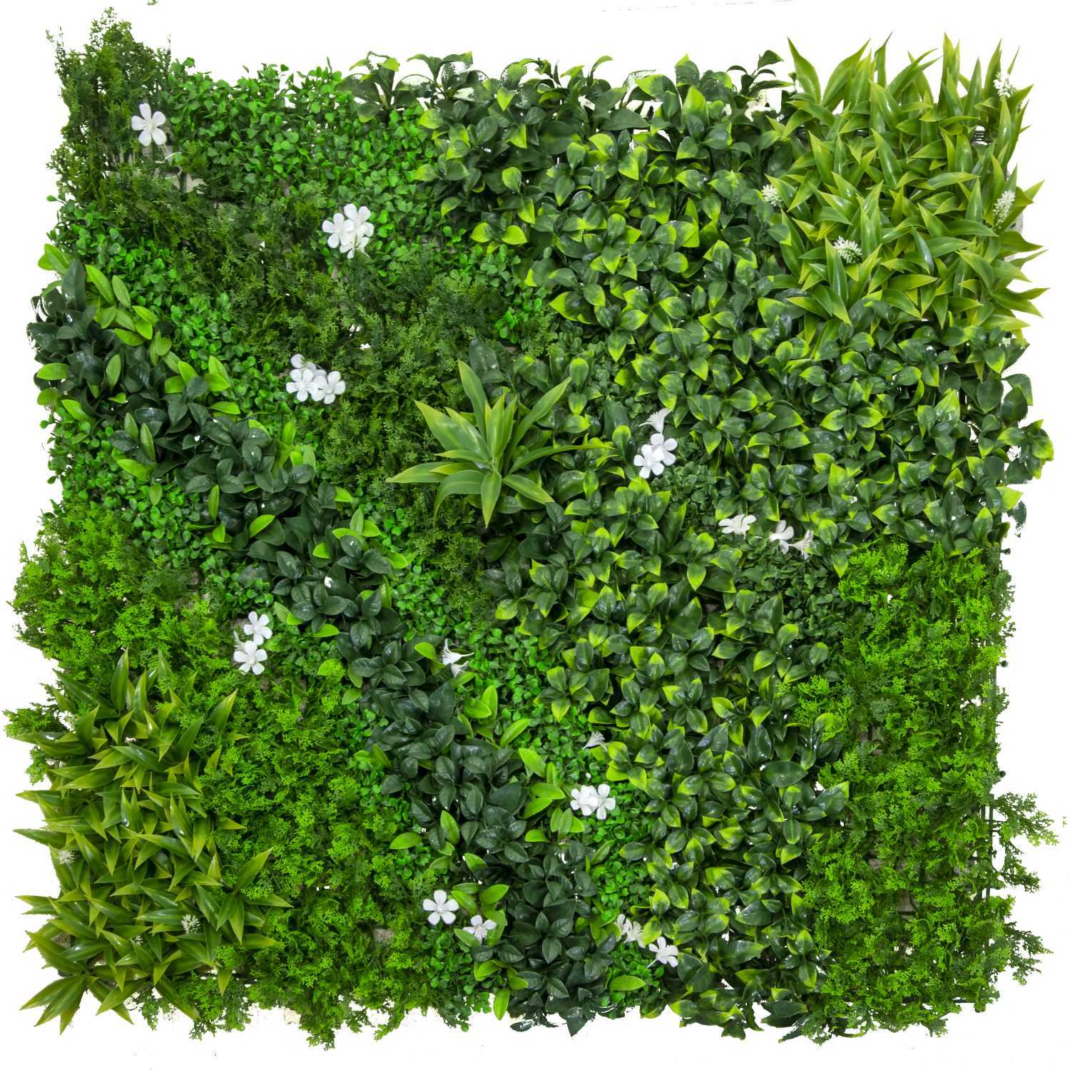 Parete verde verticale Vacchetti cm100x100