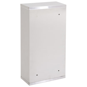 Armoire à pharmacie 2 étagères 3 niveaux verrouillable porte verre trempé dépoli logo croix 25L x 12l x 48H cm acier inox