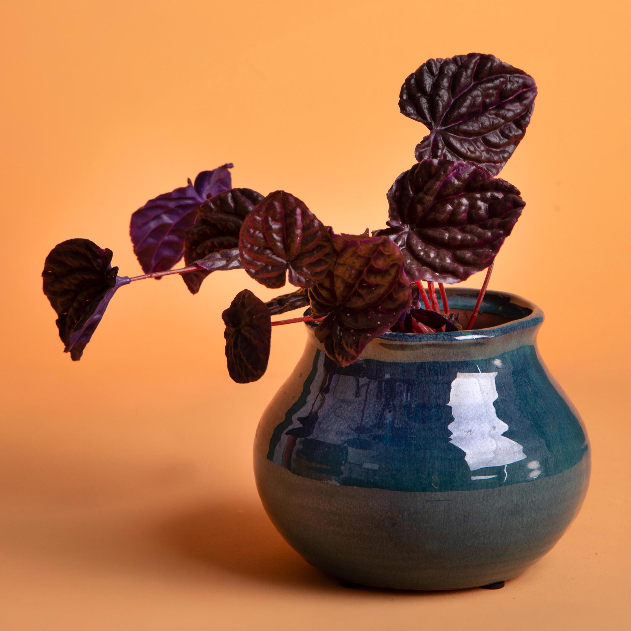 Pezzi 2 - Vaso rotondo - Colore Verde - 19xH15x12,5cm - Bianchi Dino