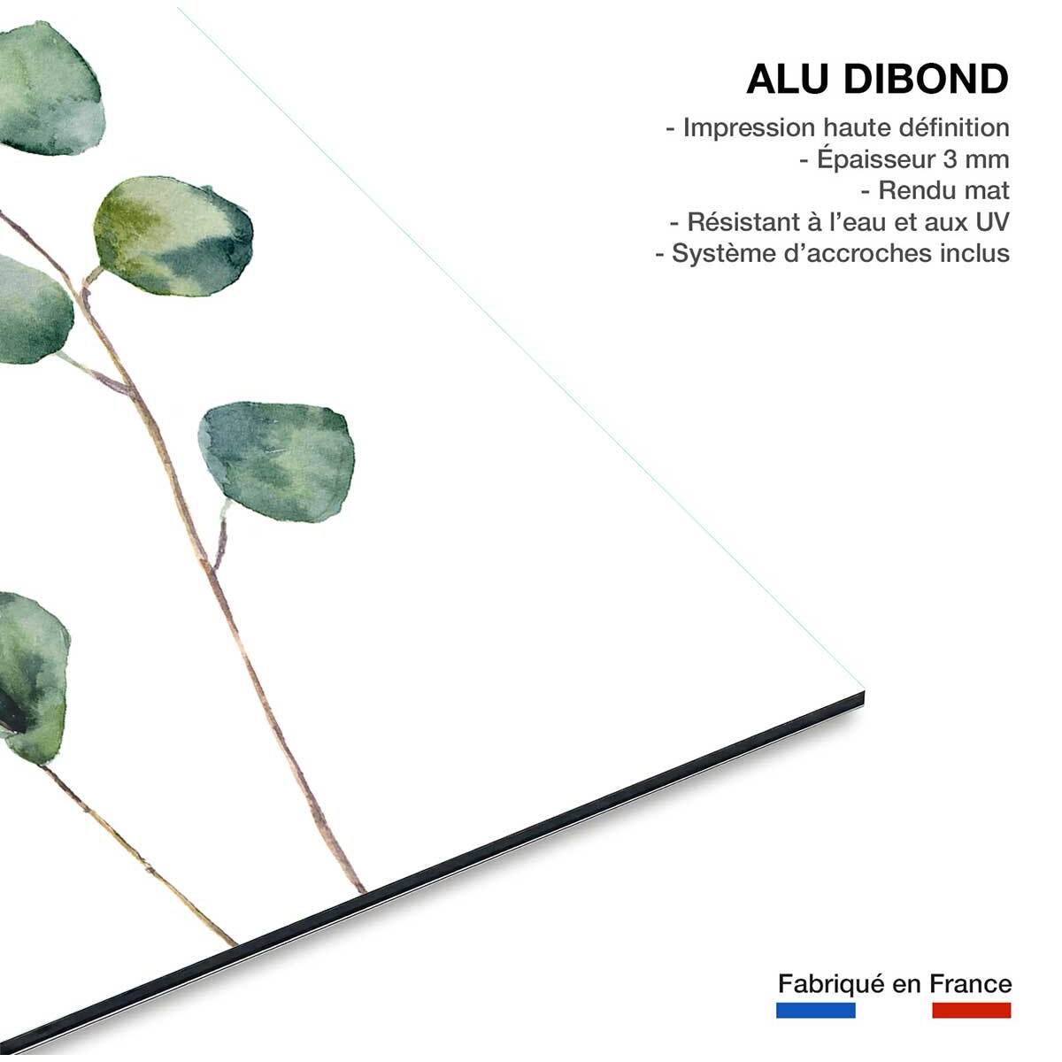 Tableau nature aquarelle feuilled' eucalyptus Tableau alu Dibond