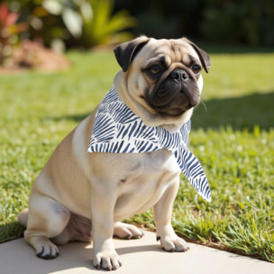 Pack de 2 bandanas pour animaux Gavina