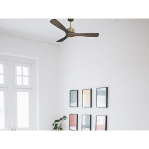 Ventilateur de plafond Réversible  Thermostat Wifi Moteur à courant continu Toits en pente Télécommande Hypersilence Mémoire