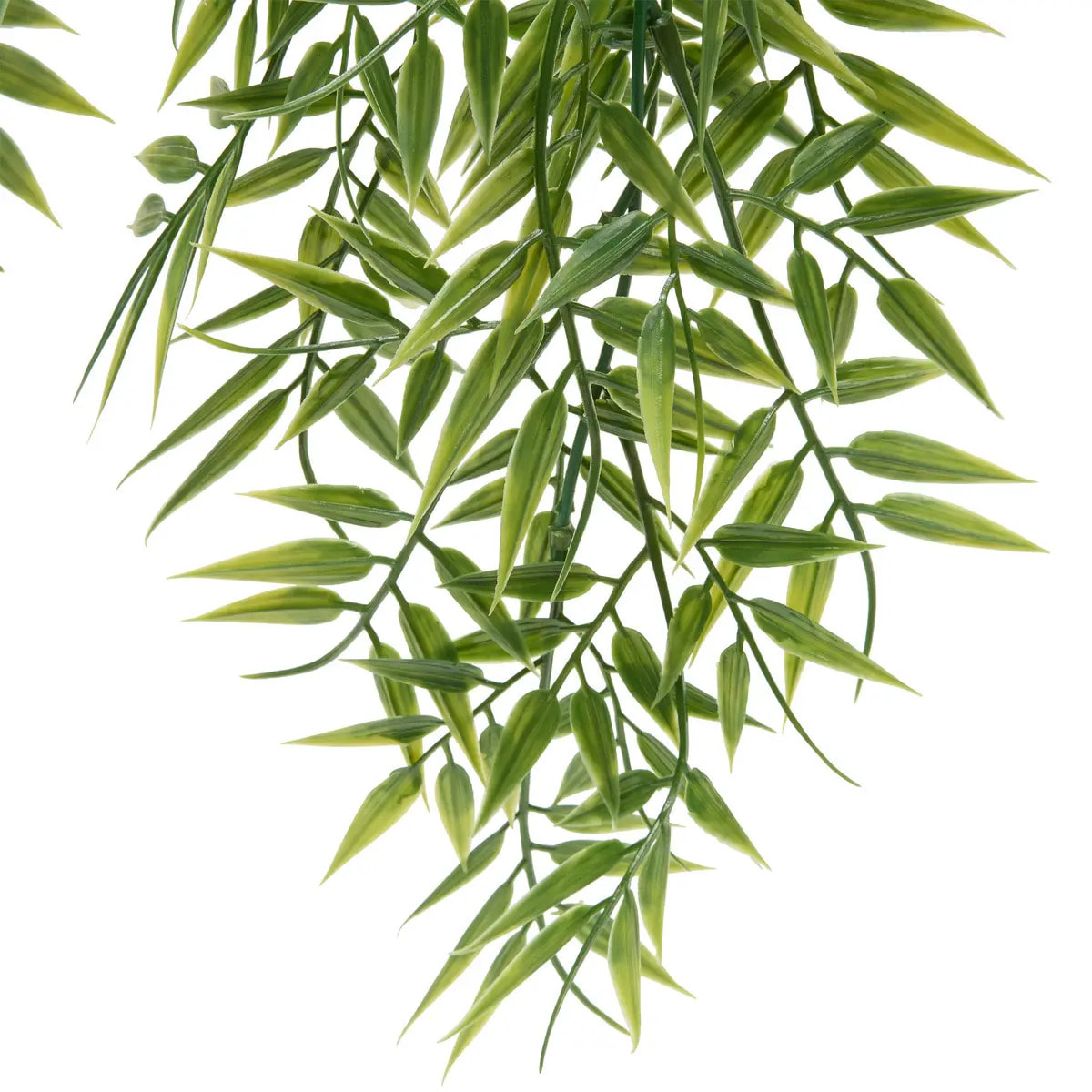 Plante artificelle suspendue Liora 10x10cm