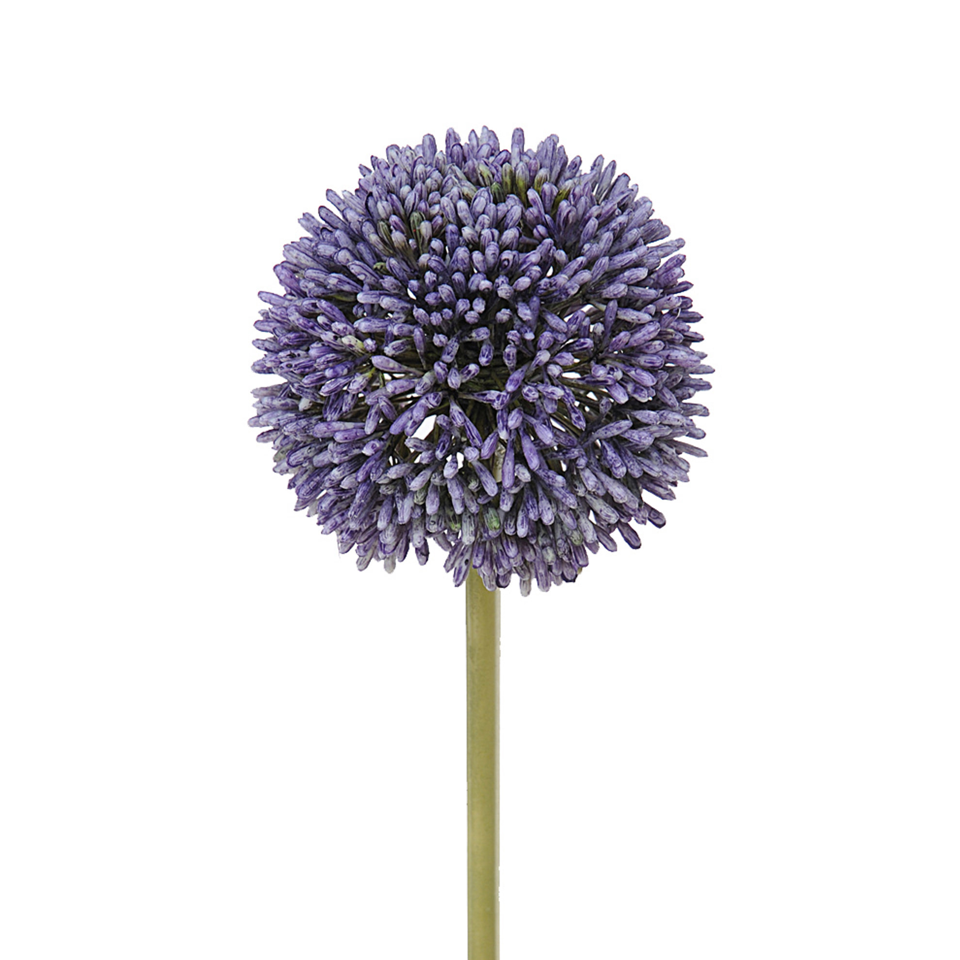 Fiore Di Allium. Altezza 66 Cm - Pezzi 6 - 6X66X6cm - Colore: Blu - Bianchi Dino - Fiori Artificiali