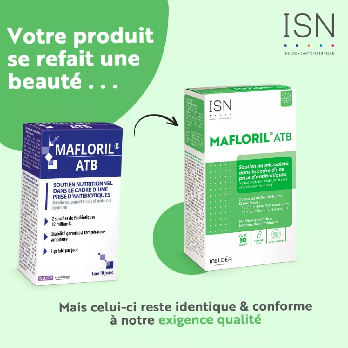 ISN - Ineldea Santé Naturelle Mafloril ATB - Complément alimentaire - 2 souches spécifiques de probiotiques - Soutien nutritionnel en cas de prise d'antibiotiques - Sans Gluten - Cure 10 jours