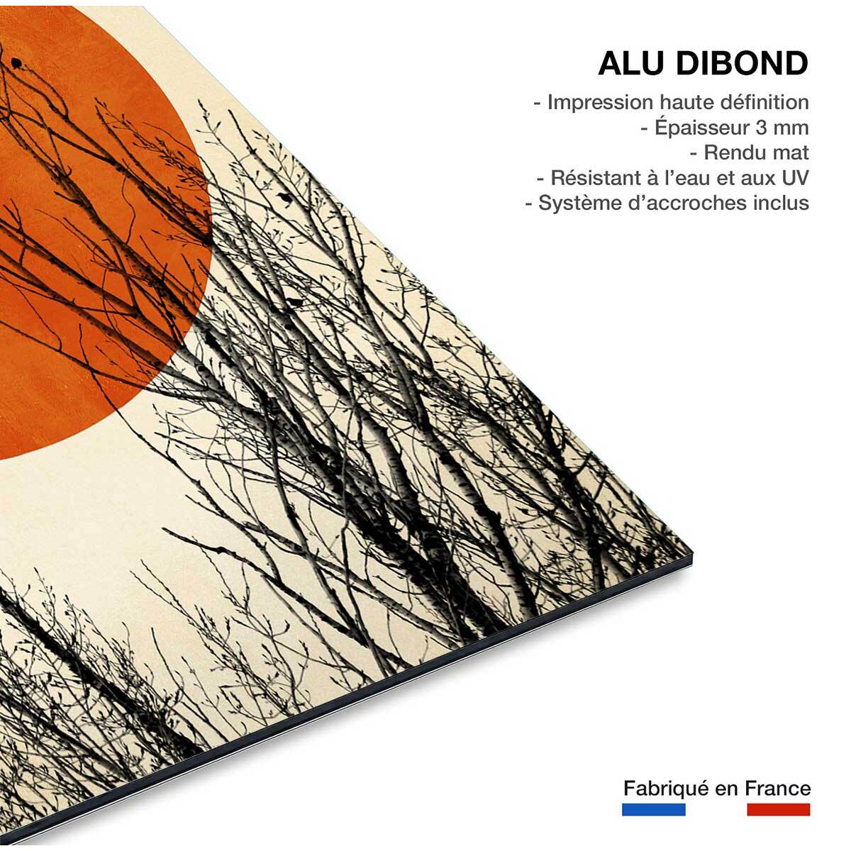 Tableau astronomie lueur hivernale  Tableau alu Dibond