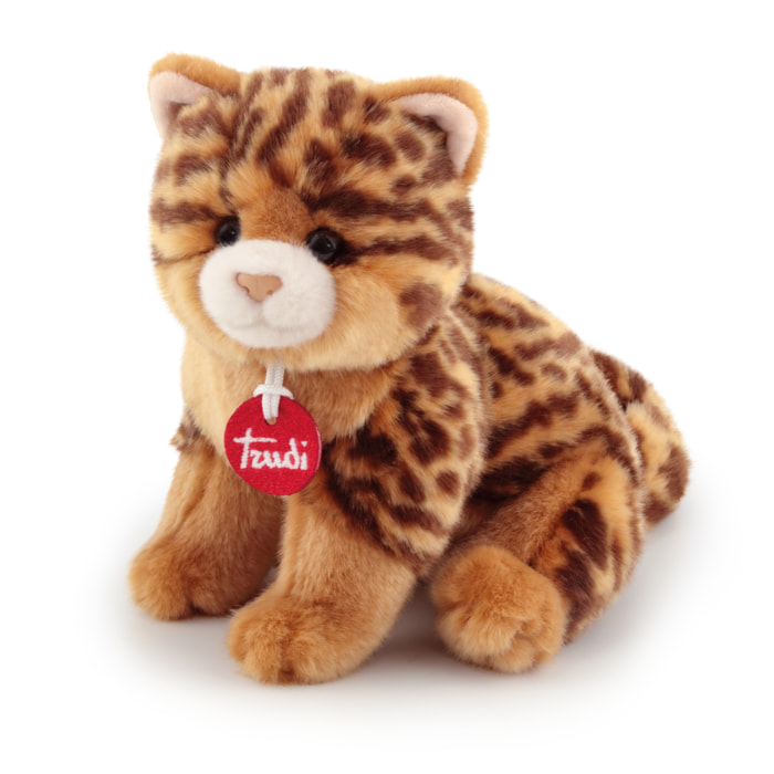 Trudi 21041 - Gatto Brad animalier Taglia S