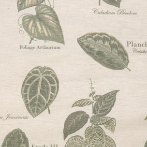 Rideau à Oeillets Botanique Vintage - Vert