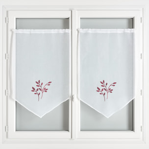 Paire de voilages brodées - Bordeaux