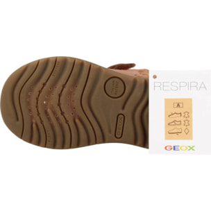 Zapatos Niño de la marca GEOX  modelo B MACCHIA BOY MARRON