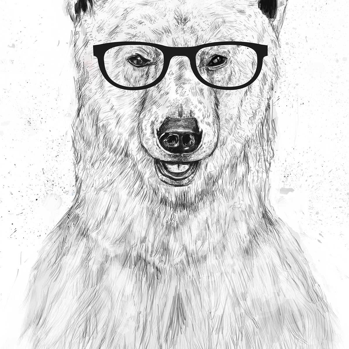 Affiche enfant ours etudiant  Affiche + cadre en bois - Chêne