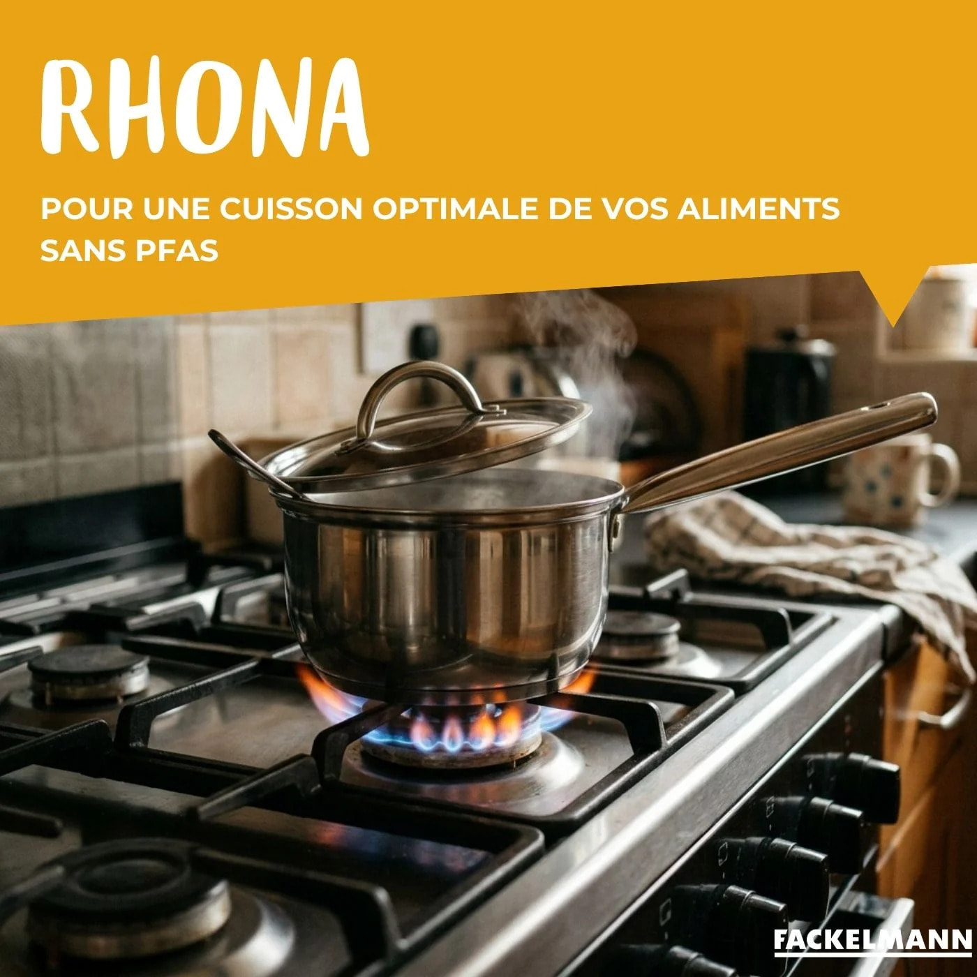 Casserole en inox Fackelmann Rhona