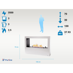 Grande cheminée à l'éthanol au sol en acier