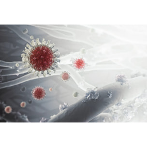 AEG Filtro de protección contra particulas ultrafinas, bacterías y virus para Multi 7000 AFWCLN5