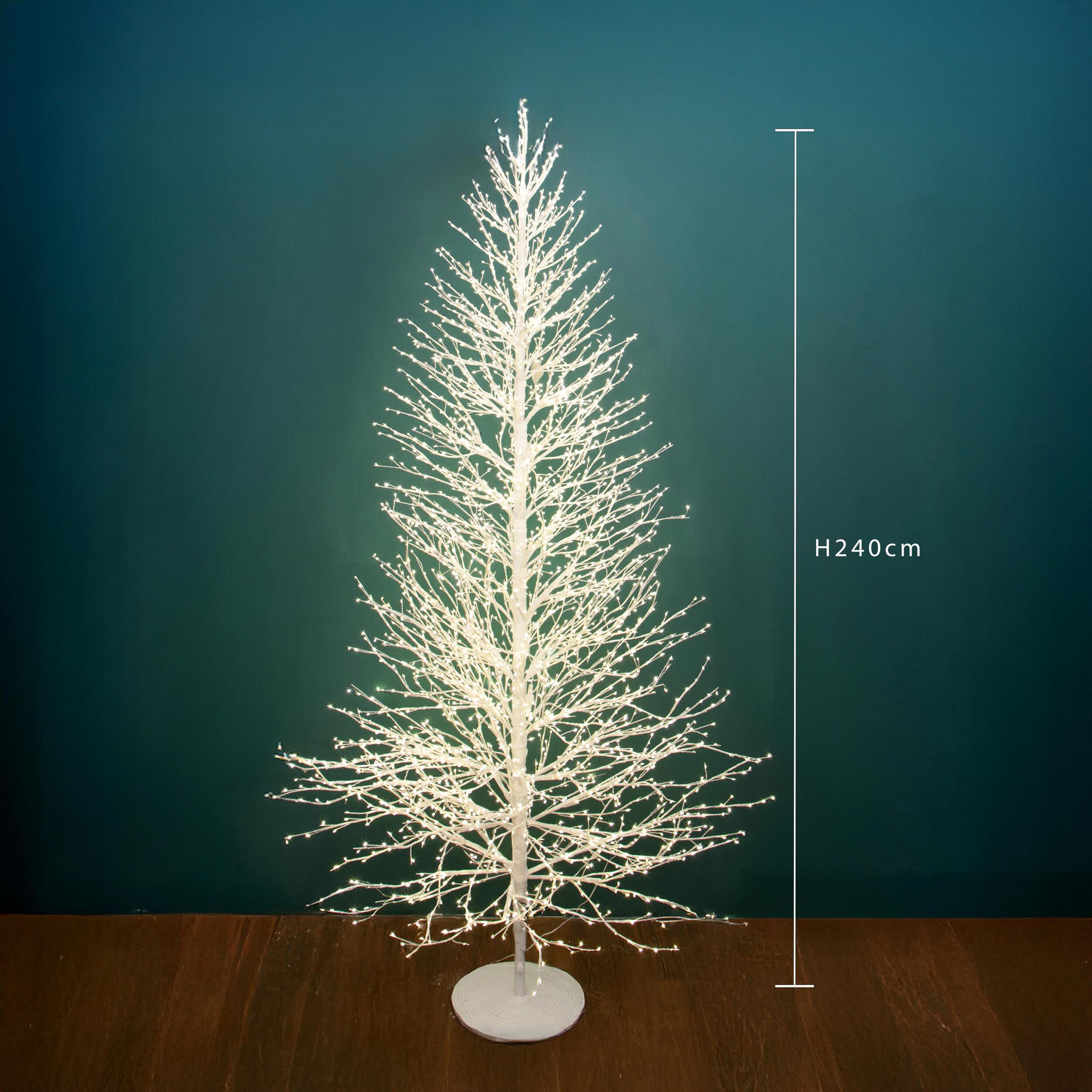 Faggio - Pezzi 1 - 85xH240x85cm - Bianchi Dino SpA