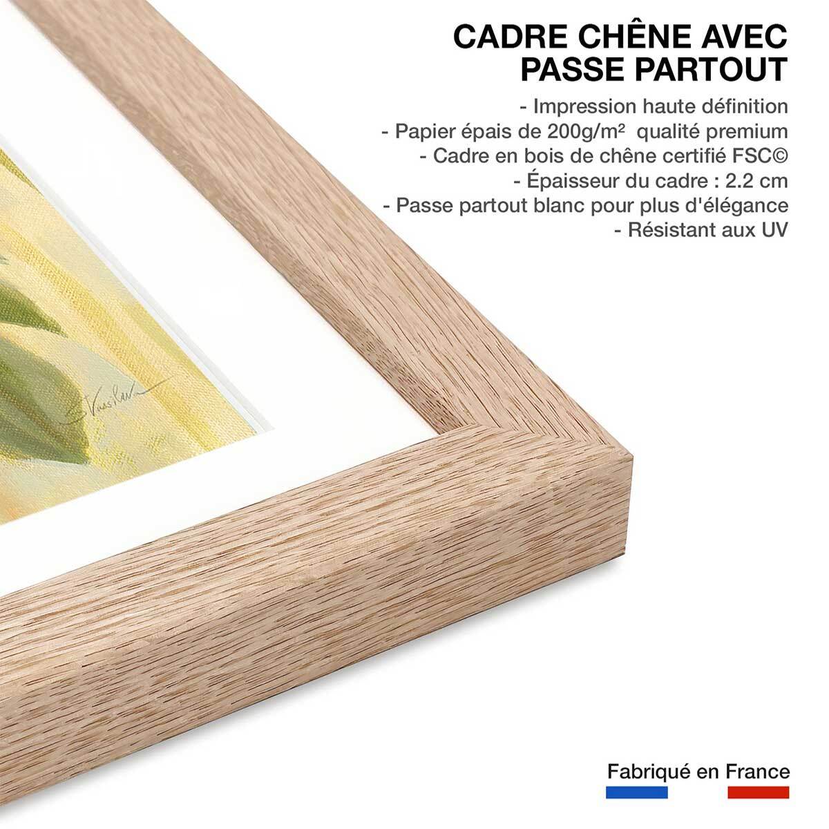 Poster Fleurs corail Affiche + cadre en bois - Chêne