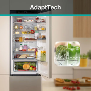 Réfrigérateur combiné GORENJE NRB620C61X4WFE