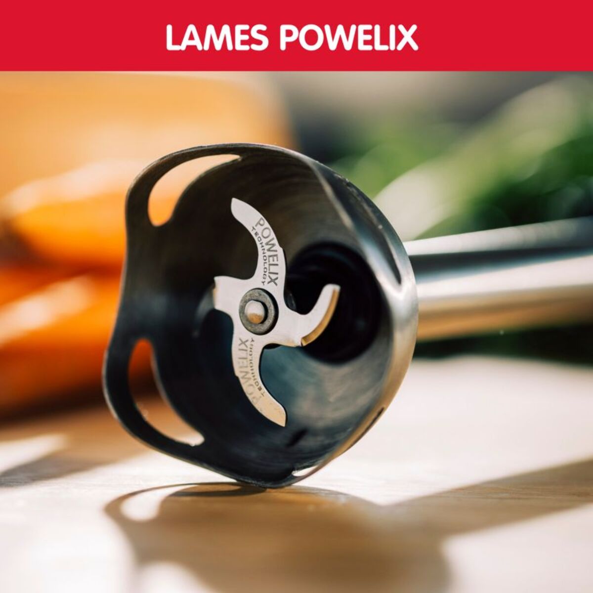 Mixeur MOULINEX DD46E810 ECO RESPECT