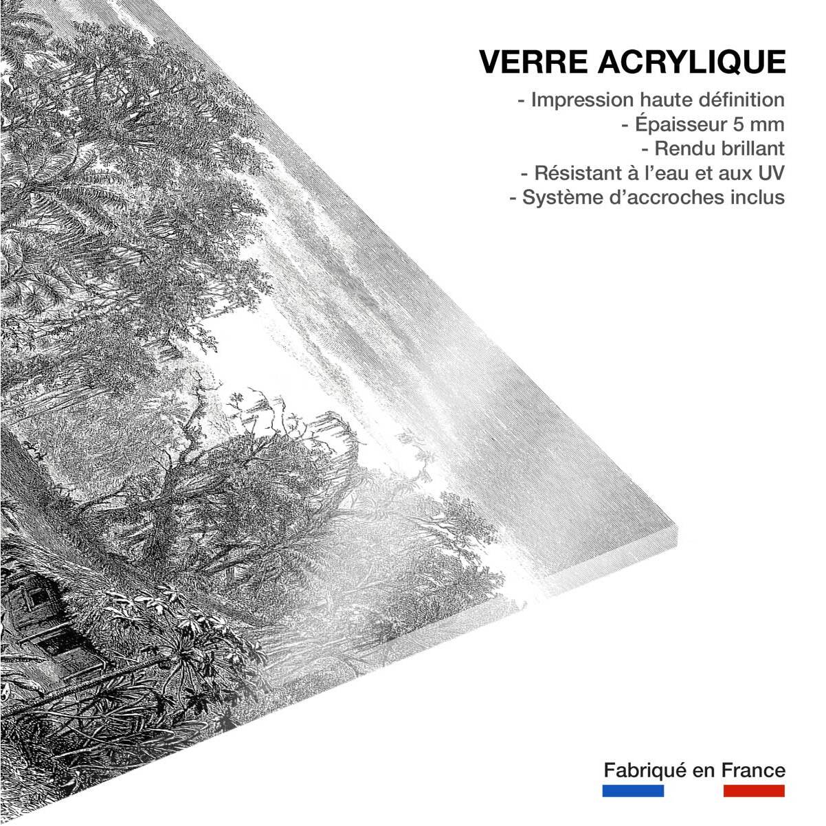 Tableau gravure forêt de mangroves Tableau plexiglas