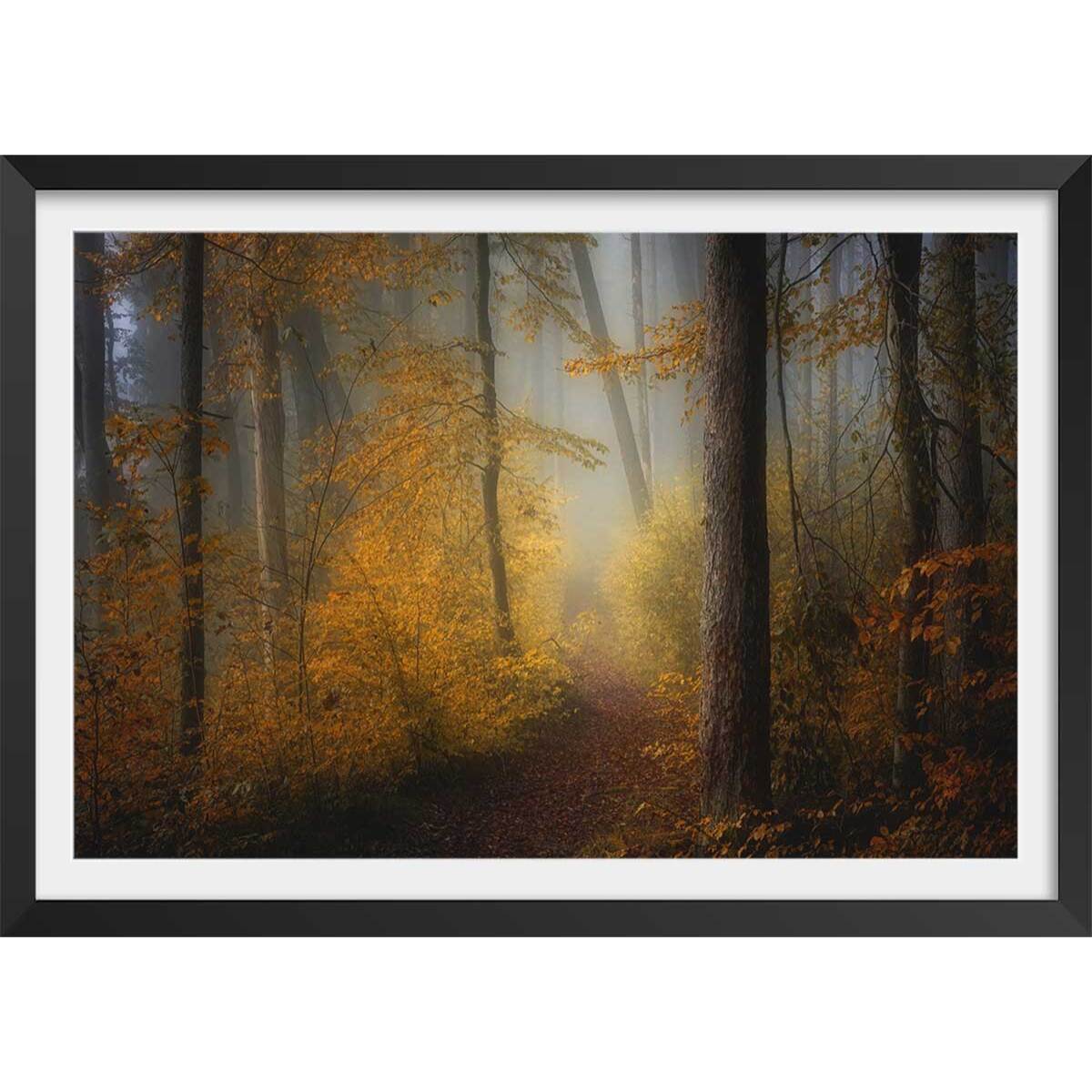 Affiche l'arbre et l'automne rouge Affiche + cadre en bois - Noir