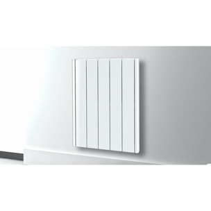 Radiateur inertie fonte 1000w
