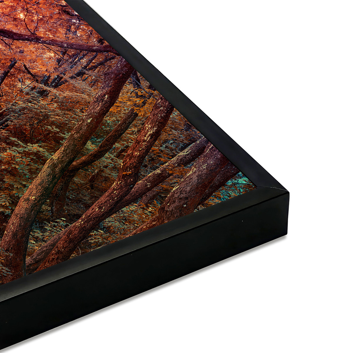 Affiche encadrée paysage d’automne Affiche + cadre en métal - Noir