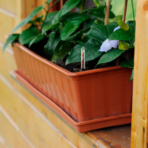 Macetero para balcon Prosperplast 11 L en color terracota CON SISTEMA DE RIEGO 60 x 18 x 14 cm