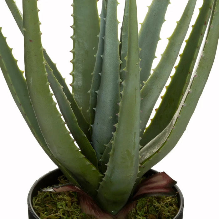 Aloe vera artificiel H44 cm