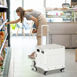 Carrito de la Compra Plegable Carrito para Supermercado con 2 Ruedas Longitud de Mango Ajustable Capacidad 35 Litros para Oficina Escuela Hogar 48x43x95 cm Blanco