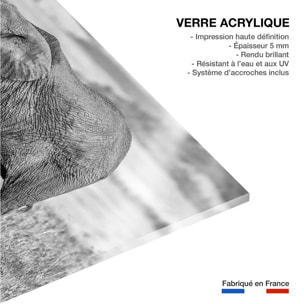 Tableau Mère éléphant Tableau plexiglas