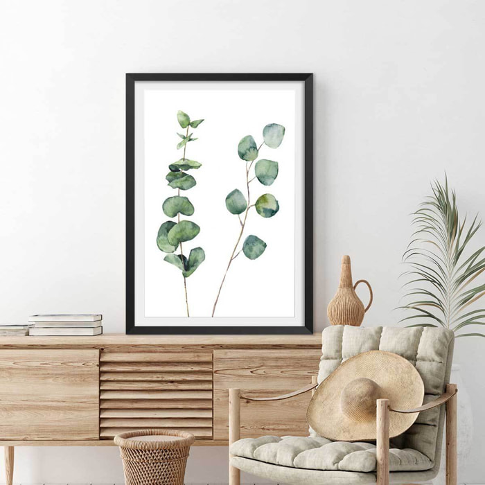 Affiche nature aquarelle feuille d' eucalyptus Affiche sous cadre noir