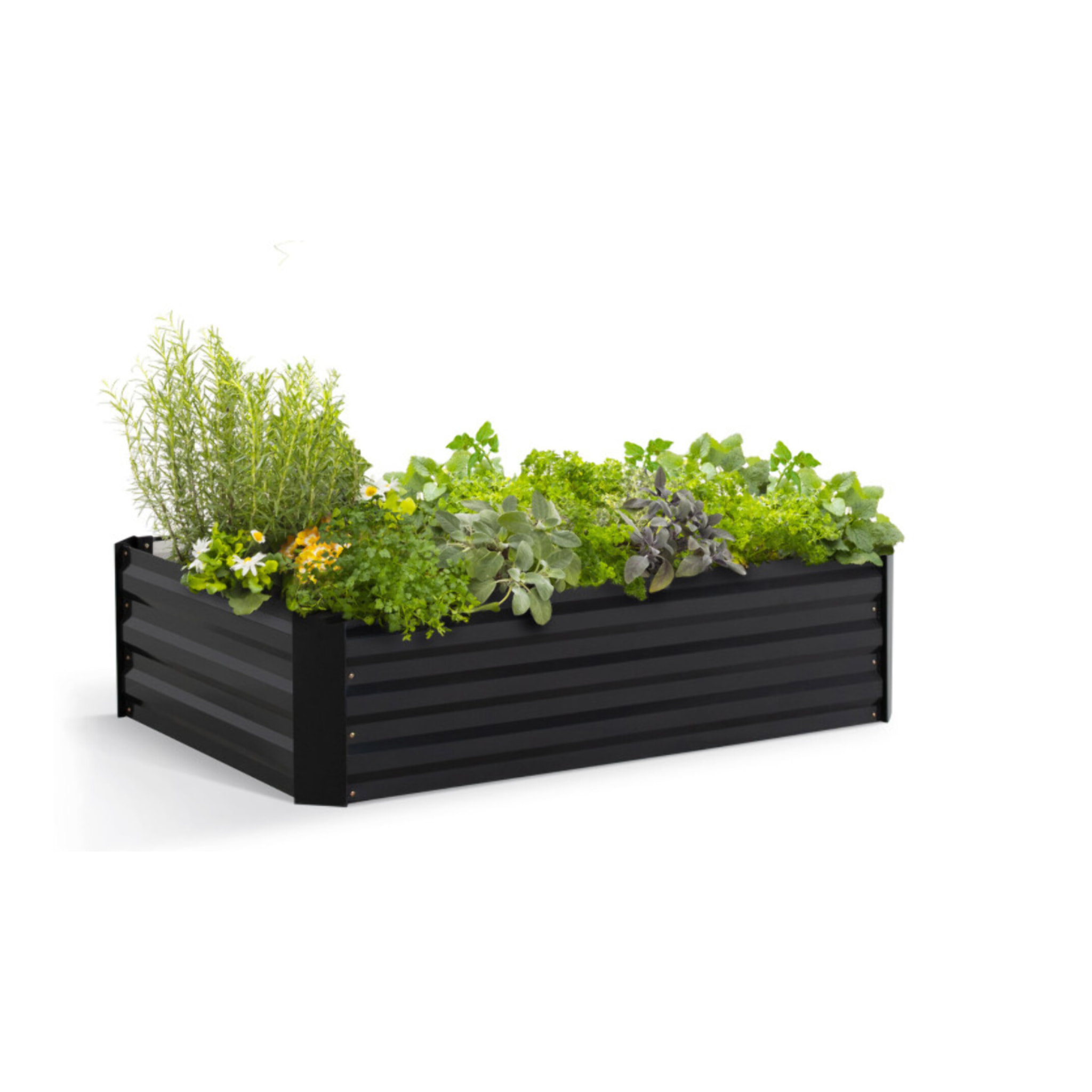 Carré potager en métal