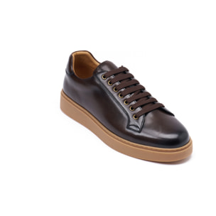 Sneaker British Passport Testa di Moro