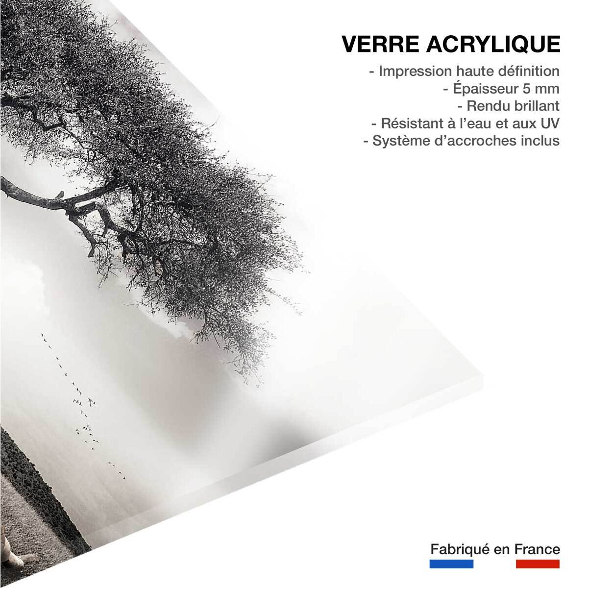 Tableau animaux sous le soleil d' afrique Tableau plexiglas