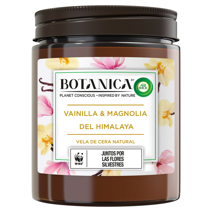 Botanica by Air Wick Vela aromática de cera natural, aroma Vainilla y Magnolia del Himalaya - 205g