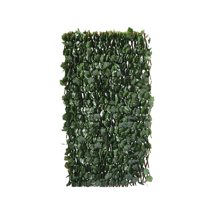 Clôture en treillis de saule ''Fragon'' - 200 x 100 cm - Vert