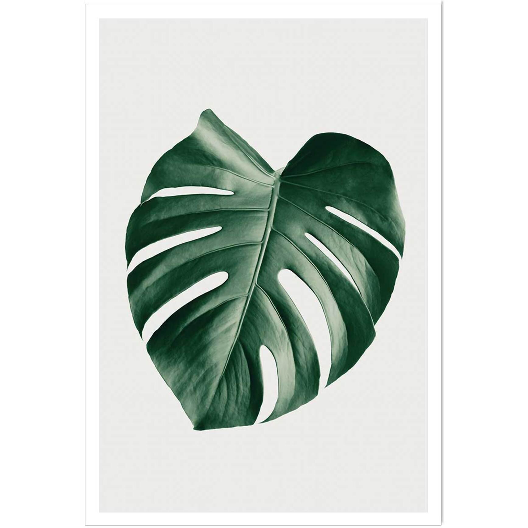 Affiche  monstera perfect Affiche seule