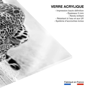 Tableau leopard noir et blanc Tableau plexiglas
