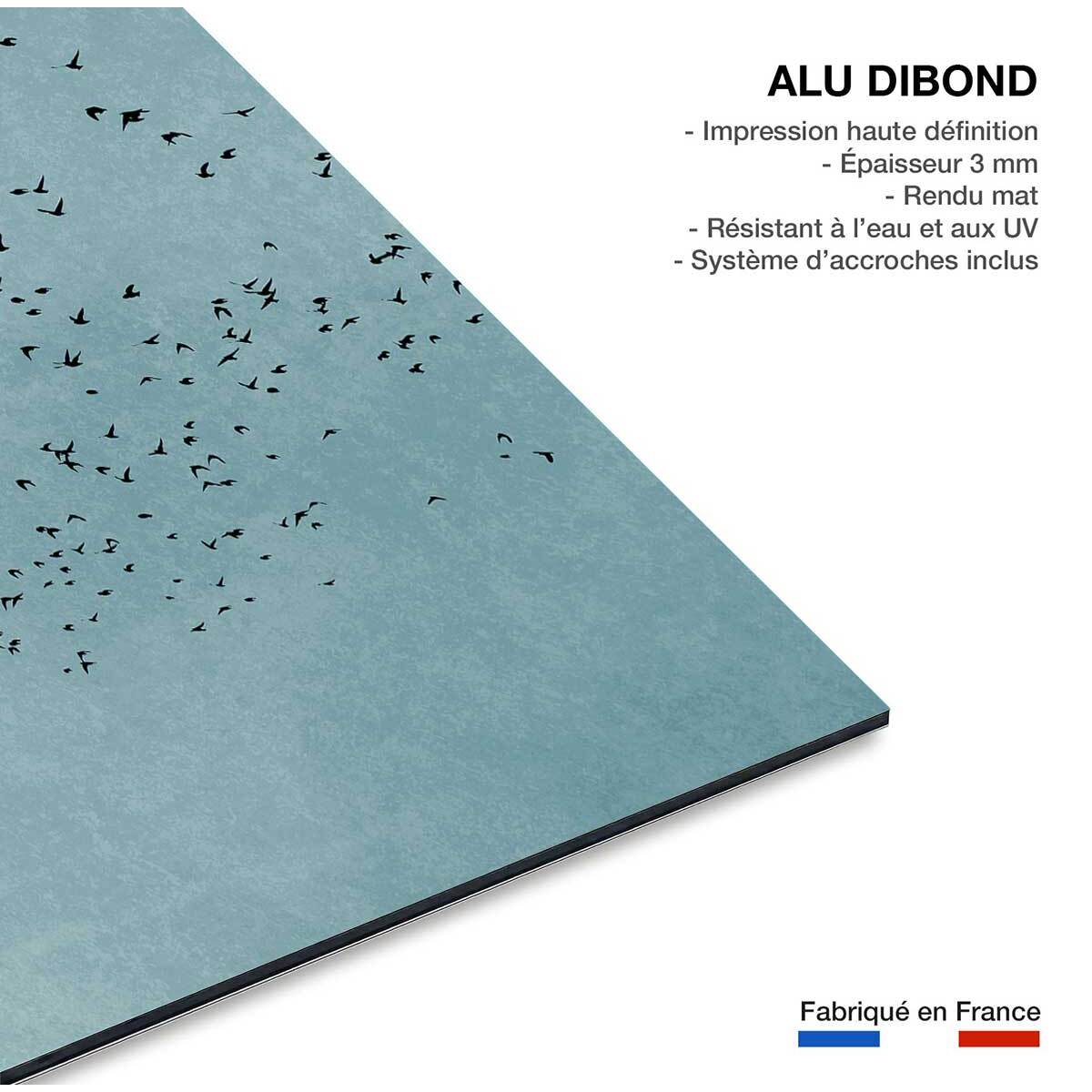 Tableau paysage Beauté du jour Tableau alu Dibond