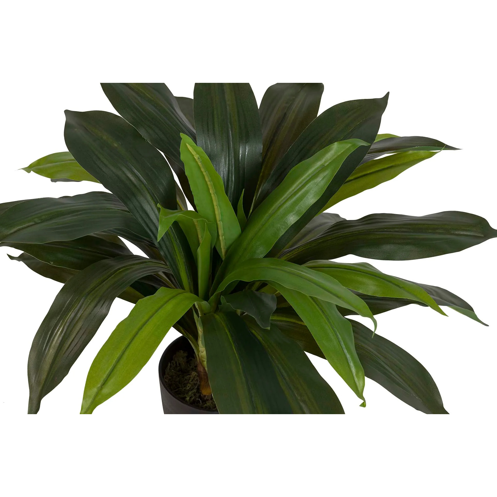 Planta Artificial Dracaena Fragrans Con Maceta 55x55x55 Cm
