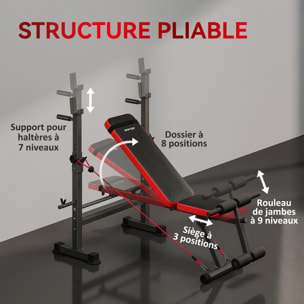 Banc de musculation réglable - support de barre, poignées à dips, bandes de résistance - rouge noir