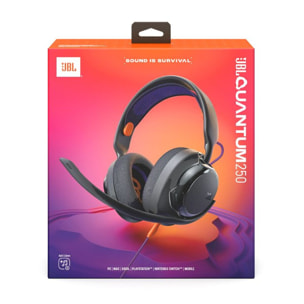 Casque gamer JBL Quantum 250 Noir