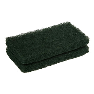 Lot de 2 éponges nettoyantes pour bois exotique