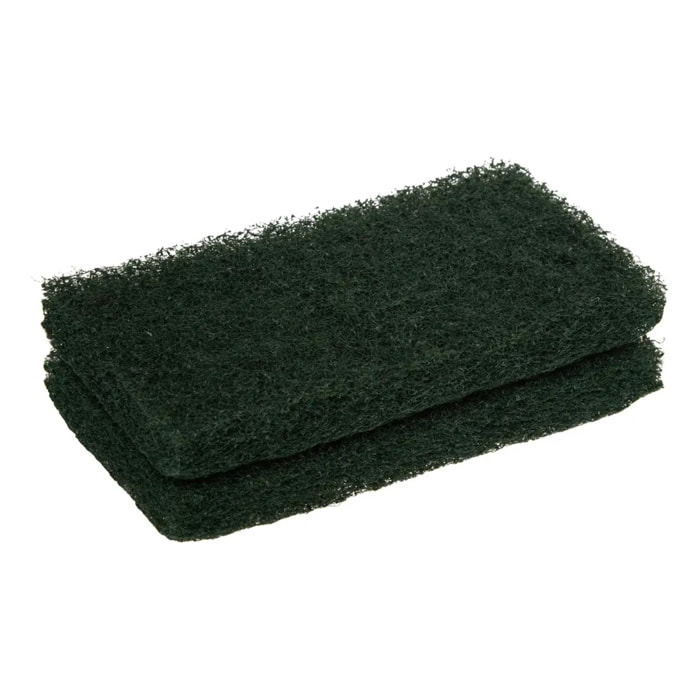 Lot de 2 éponges nettoyantes pour bois exotique