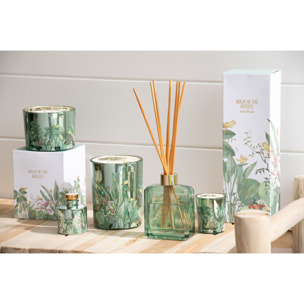 J-Line bâtonnets parfumés Walk In The Woods - Evergreen & Silver Birch - vert - 180 ml