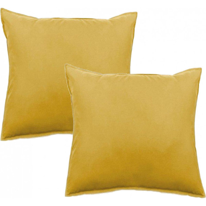 Lot de 2 taies d’oreiller Palace pur coton teint lavé 63 fils/cm² Vent du sud - Palace Curry